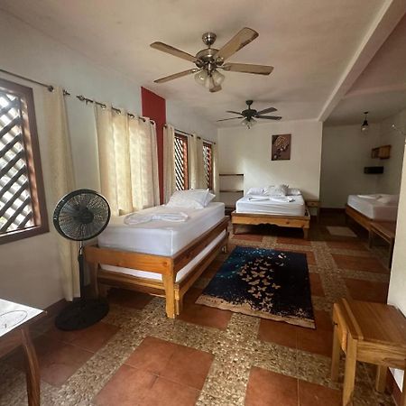 Hotel Don Quichotte Tortuguero Εξωτερικό φωτογραφία