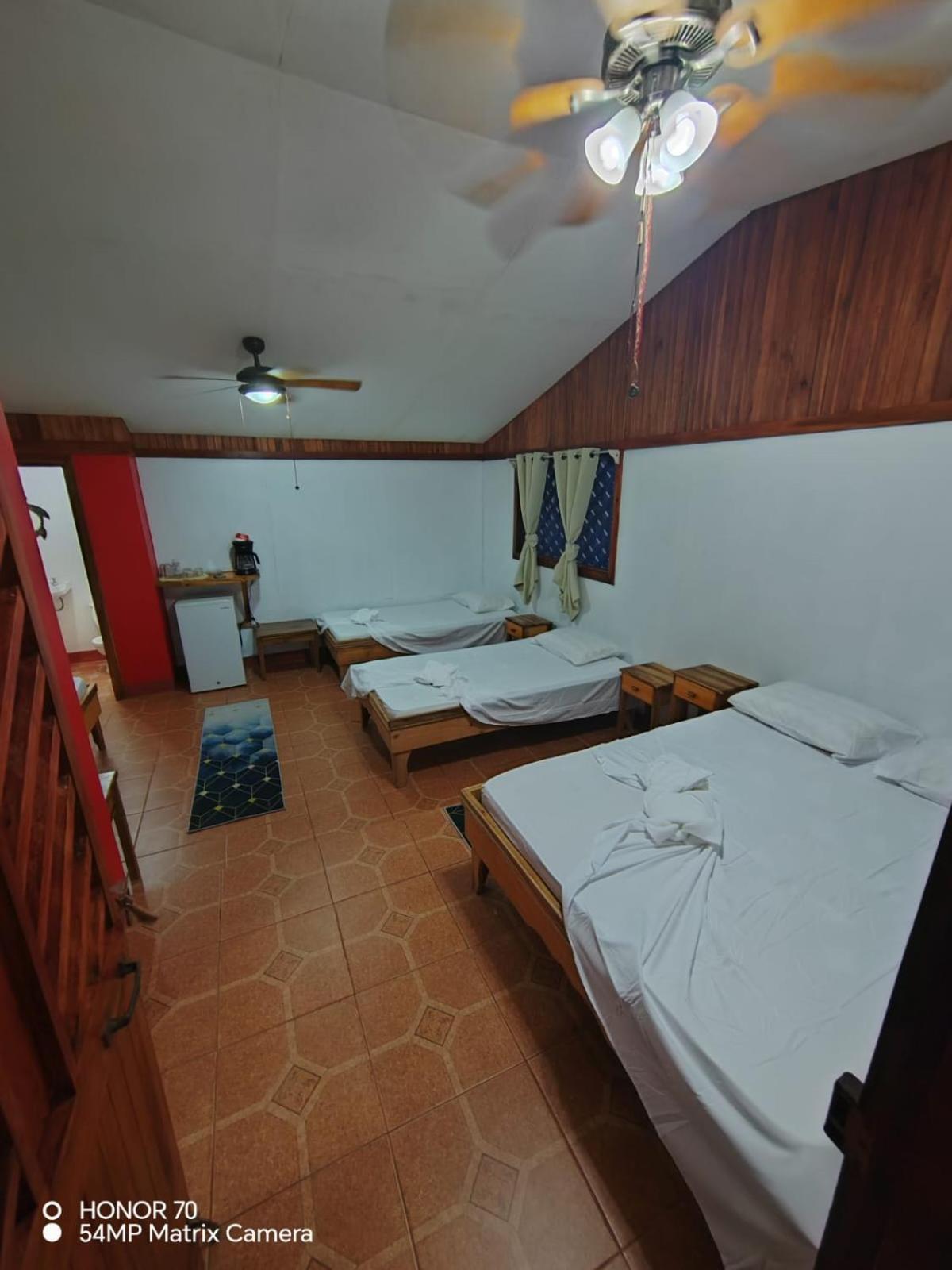Hotel Don Quichotte Tortuguero Εξωτερικό φωτογραφία