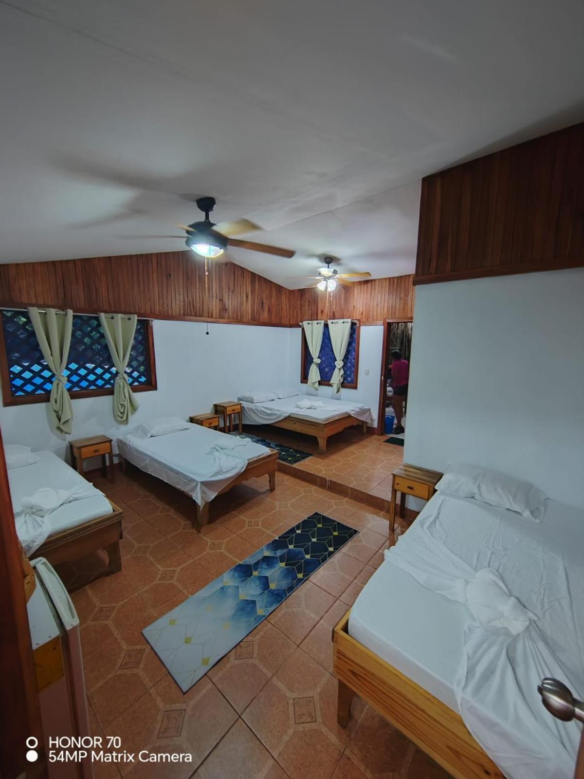 Hotel Don Quichotte Tortuguero Εξωτερικό φωτογραφία