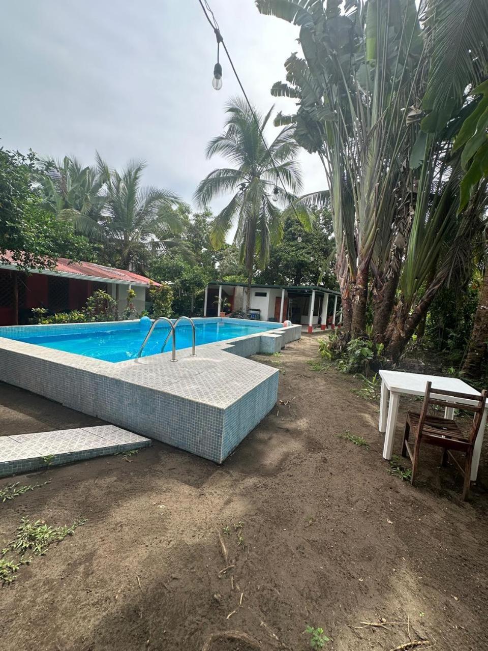 Hotel Don Quichotte Tortuguero Εξωτερικό φωτογραφία