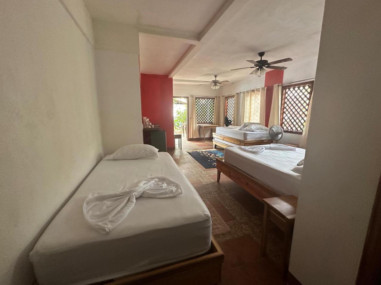 Hotel Don Quichotte Tortuguero Εξωτερικό φωτογραφία
