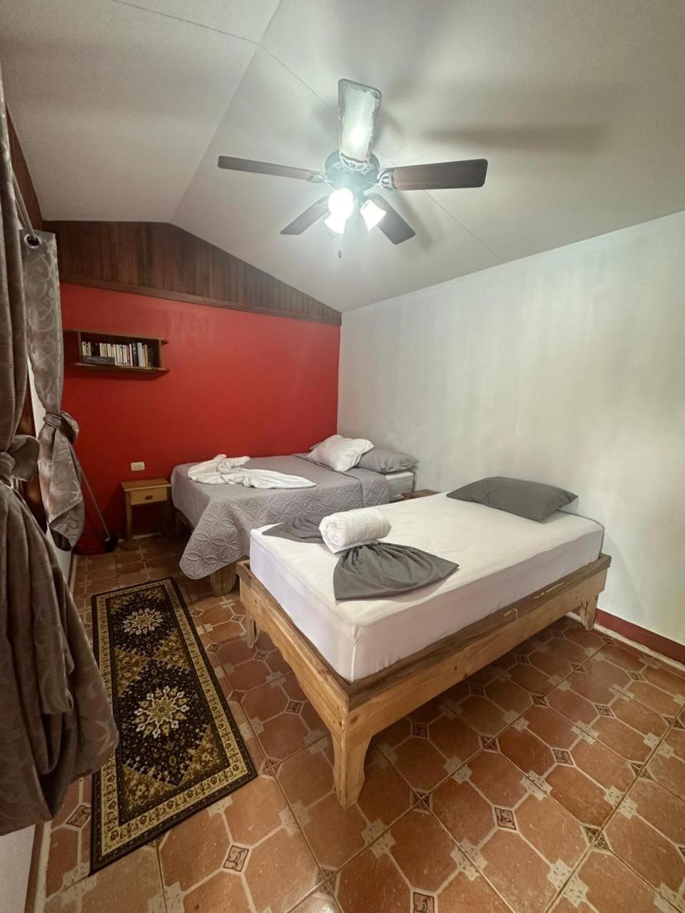 Hotel Don Quichotte Tortuguero Εξωτερικό φωτογραφία