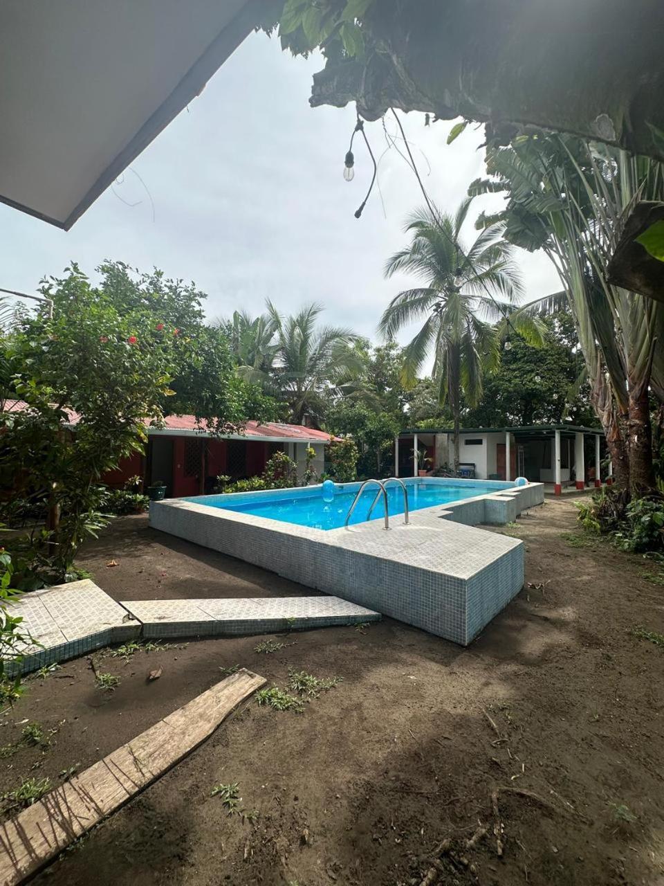 Hotel Don Quichotte Tortuguero Εξωτερικό φωτογραφία