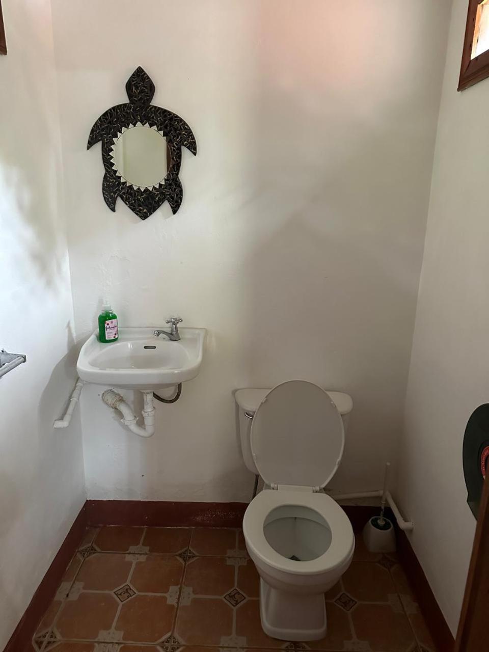 Hotel Don Quichotte Tortuguero Εξωτερικό φωτογραφία