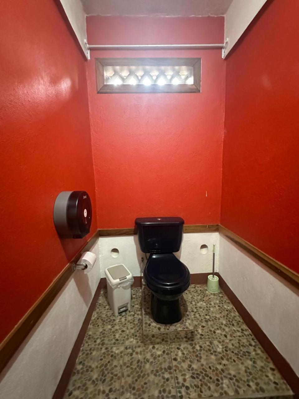 Hotel Don Quichotte Tortuguero Εξωτερικό φωτογραφία