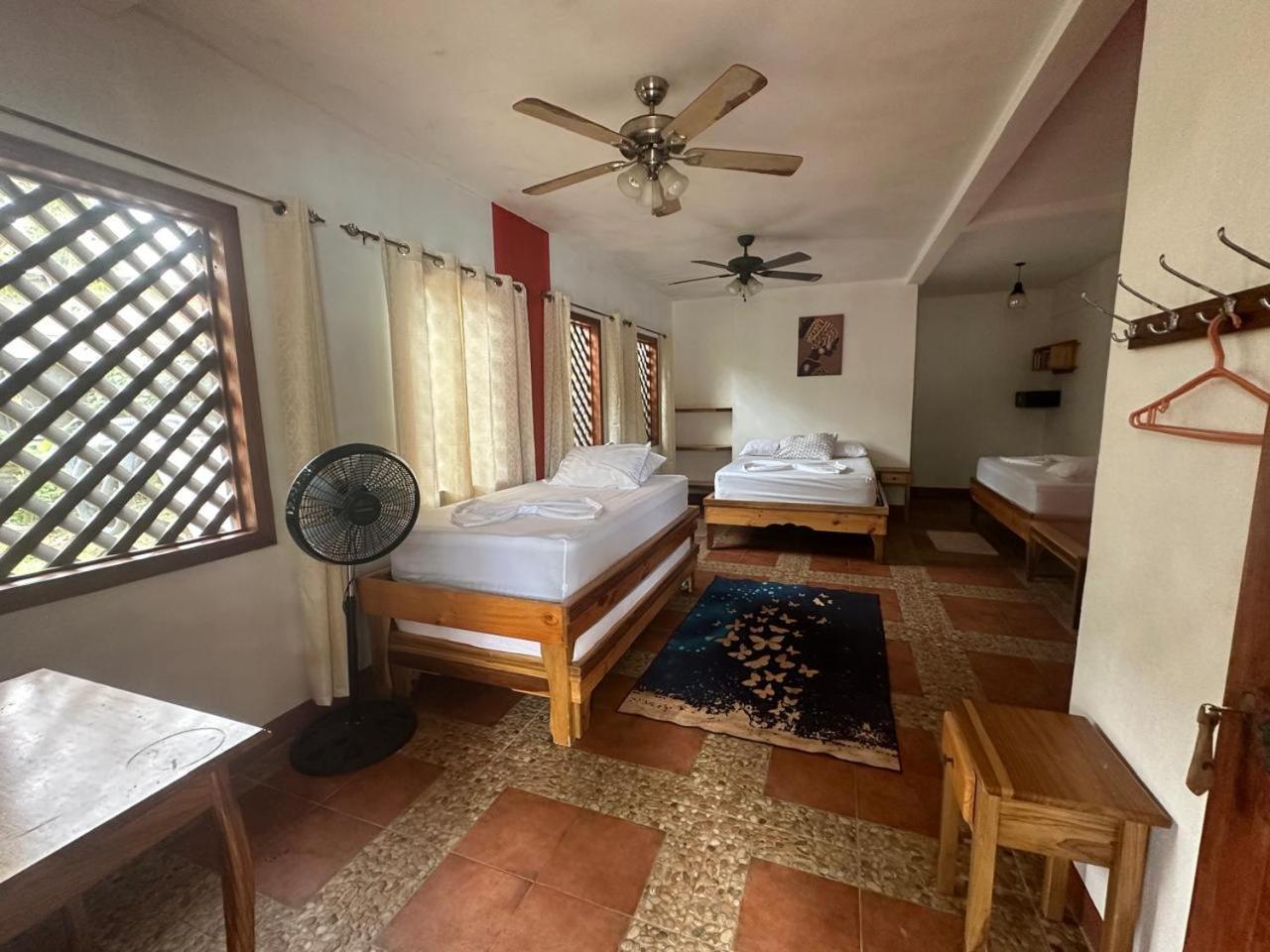 Hotel Don Quichotte Tortuguero Εξωτερικό φωτογραφία