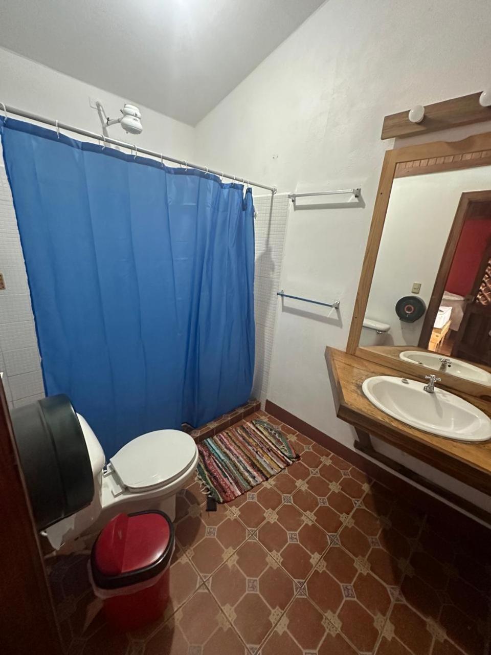 Hotel Don Quichotte Tortuguero Εξωτερικό φωτογραφία