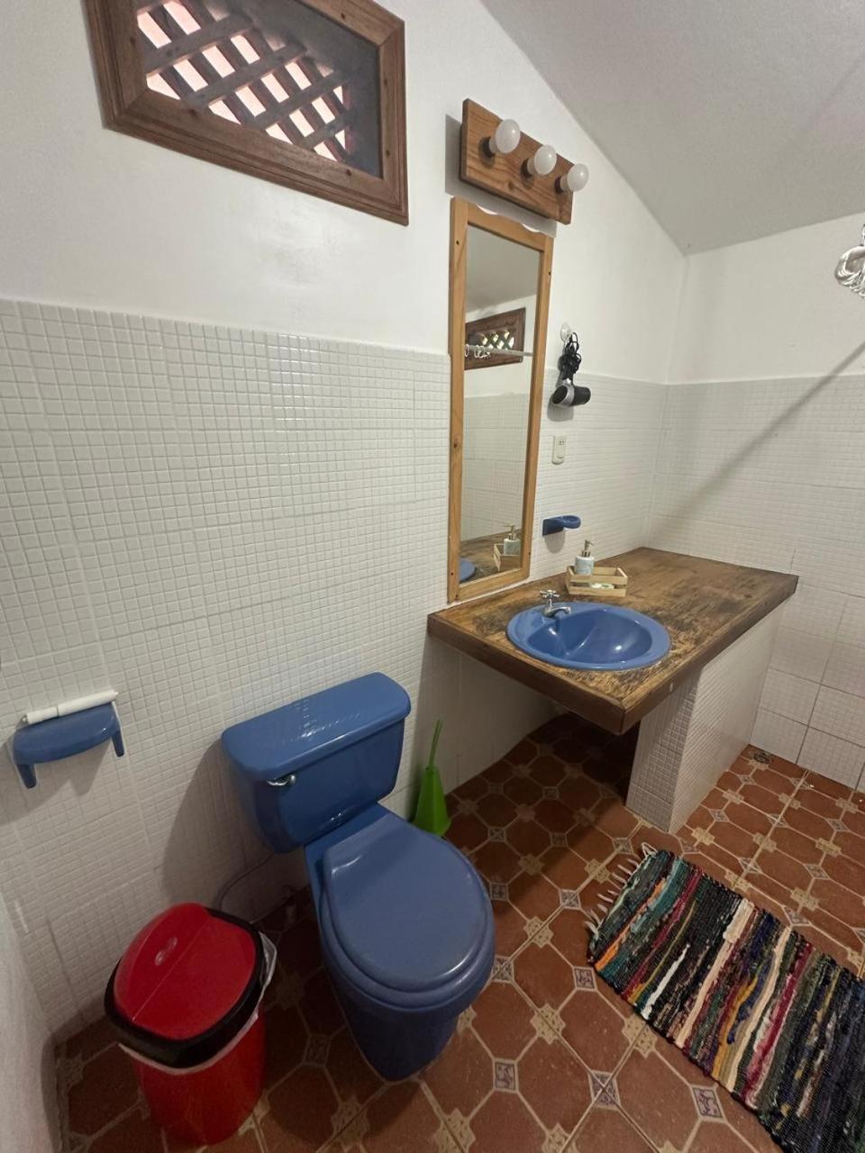 Hotel Don Quichotte Tortuguero Εξωτερικό φωτογραφία