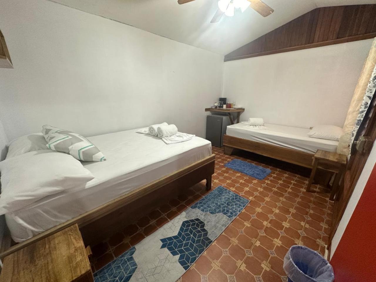 Hotel Don Quichotte Tortuguero Εξωτερικό φωτογραφία